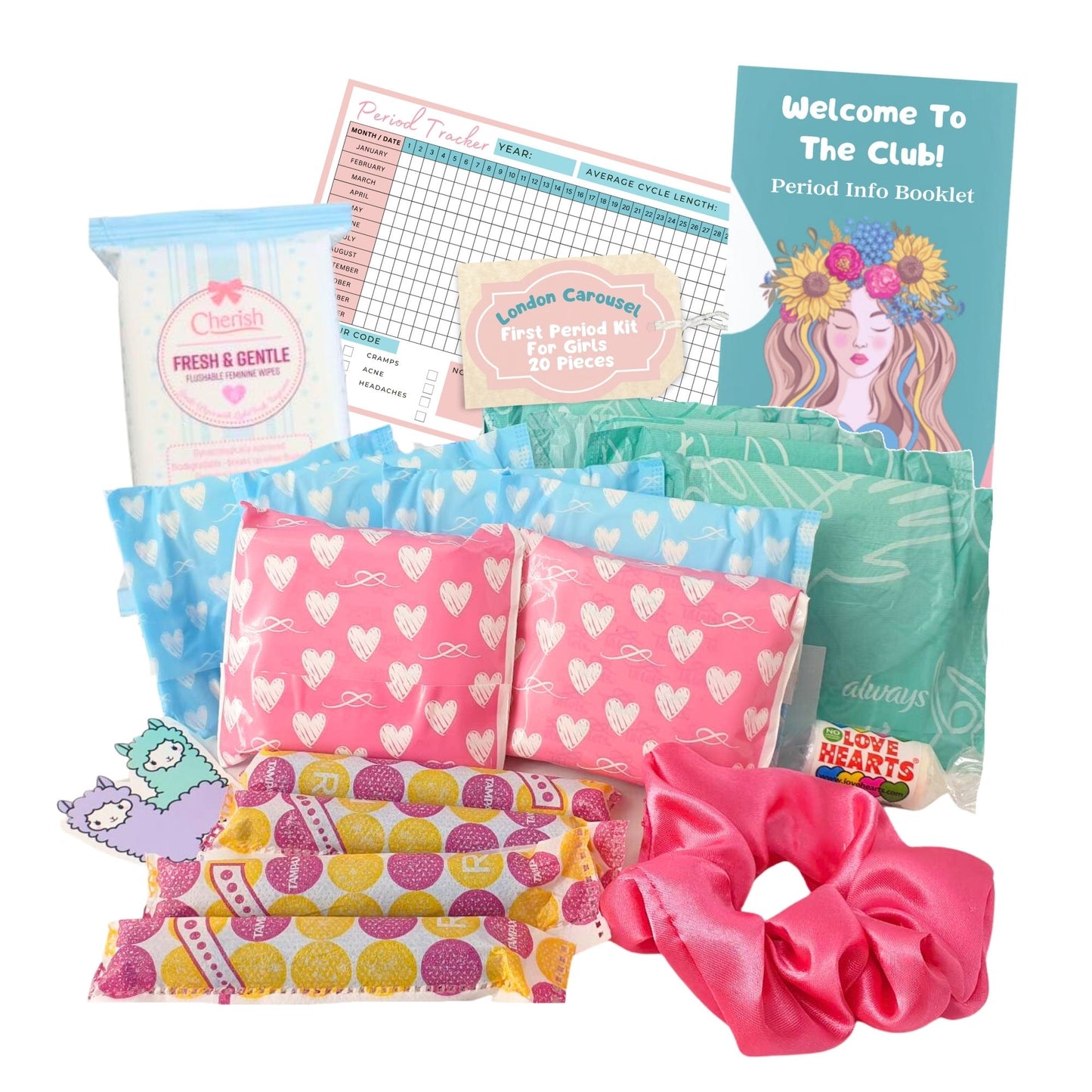 A compact and essential Mini Flow First Period Kit for Girls featuring 4 Lil-lets Teen Pads, 4 Always Sanitary Towels, 4 Tampons with Applicator, 8 Lil-lets Teen Panty Liners, Intimate Feminine Hygiene Wipes, a satin hair scrunchie, and a My First Period Information Booklet and Period Tracker Card.