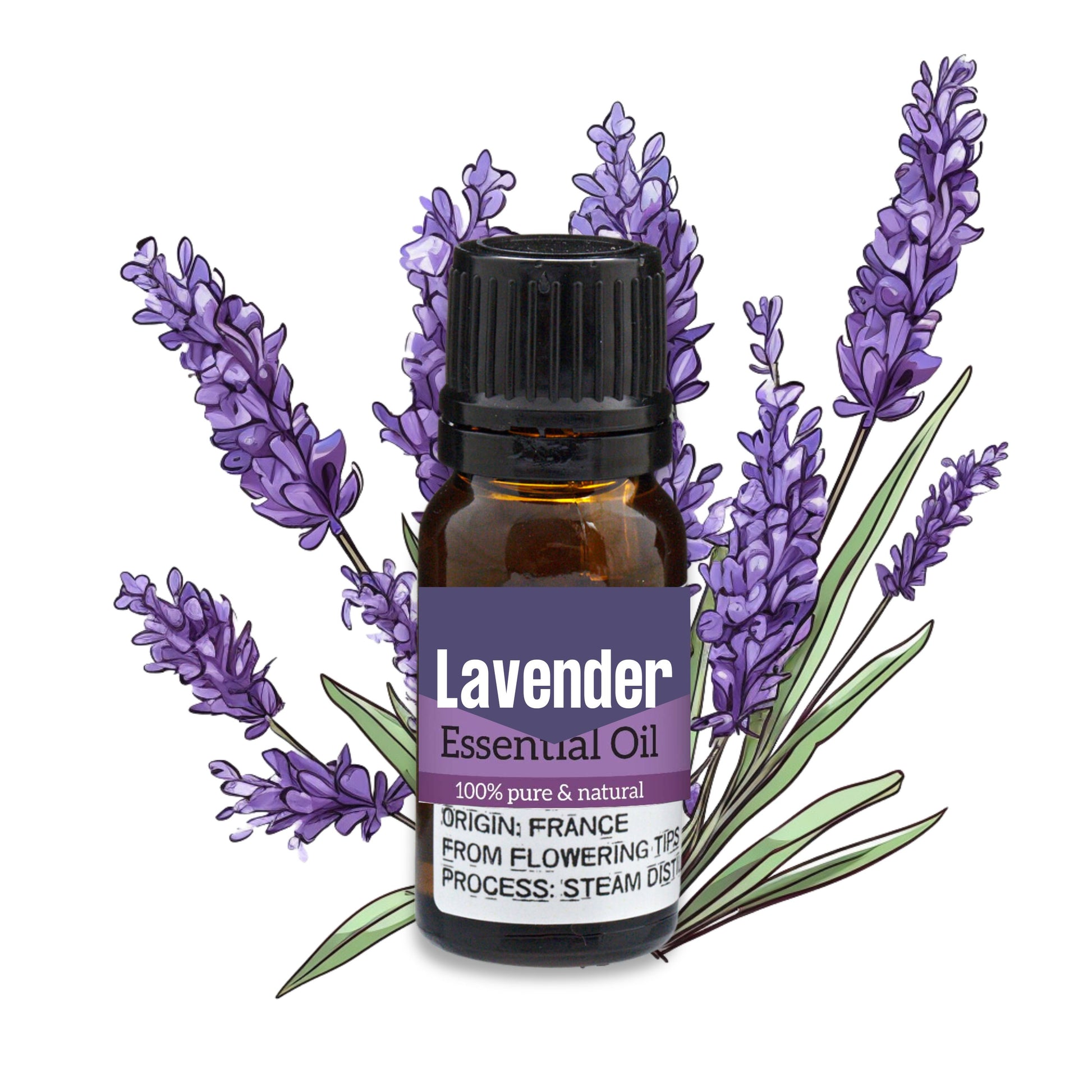 Sure, here's a concise SEO snippet:  "Discover pure tranquility with our undiluted Pure Lavender Essential Oil. Packaged in a convenient 10ml amber glass bottle with a dropper, ideal for easy use in diffusers. Enhance relaxation and promote a serene atmosphere effortlessly."